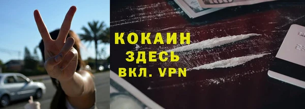 мяу мяу мука Абаза