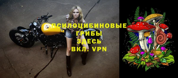 гидра Абинск