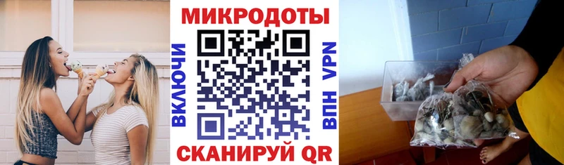 как найти закладки  Прохладный  кракен вход  Псилоцибиновые грибы ЛСД 