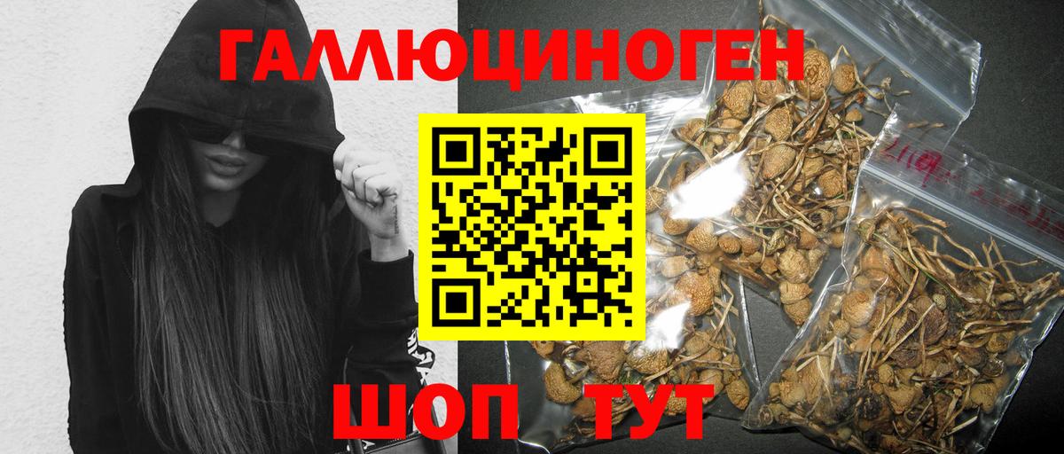 Псилоцибиновые грибы MAGIC MUSHROOMS Прохладный